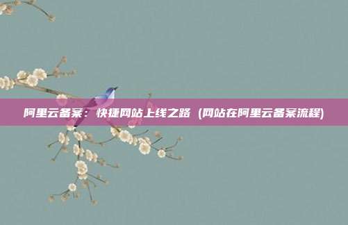 阿里云备案：快捷网站上线之路 (网站在阿里云备案流程)