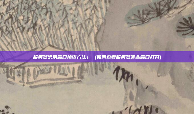 服务器常用端口检查方法! (如何查看服务器哪些端口打开)