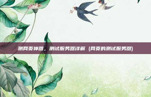 测网页神器，测试服务器详解 (网页的测试服务器)