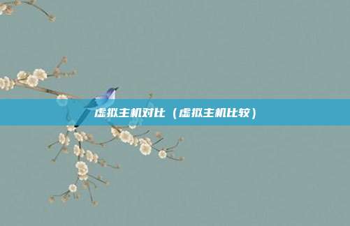 虚拟主机对比（虚拟主机比较）