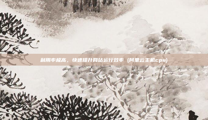 利用率极高,快速提升网站运行效率 (阿里云主机cpu)
