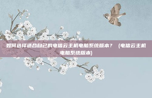 如何选择适合自己的电信云主机电脑系统版本? (电信云主机电脑系统版本)