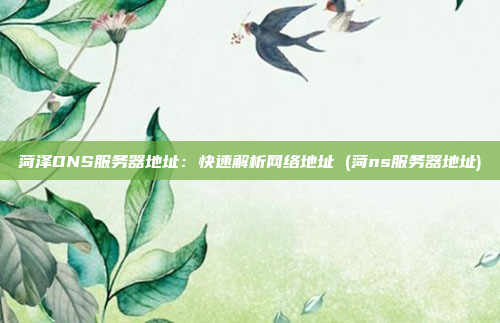 菏泽DNS服务器地址：快速解析网络地址 (菏ns服务器地址)