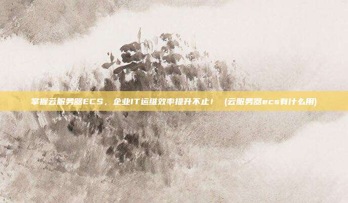 掌握云服务器ECS,企业IT运维效率提升不止! (云服务器ecs有什么用)