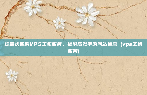 稳定快速的VPS主机服务,提供高效率的网站运营 (vps主机服务)