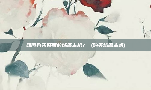 如何购买好用的域名主机? (购买域名主机)