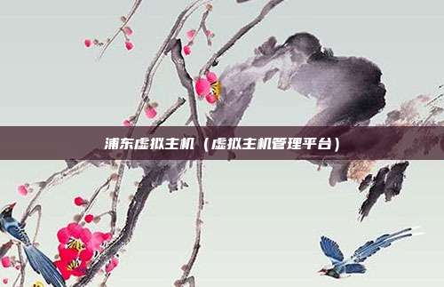 浦东虚拟主机(虚拟主机管理平台)