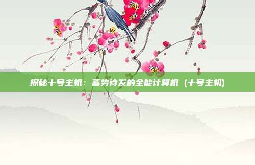 探秘十号主机:蓄势待发的全能计算机 (十号主机)