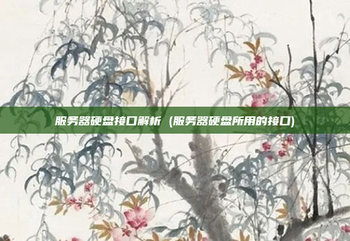 服务器硬盘接口解析 (服务器硬盘所用的接口)