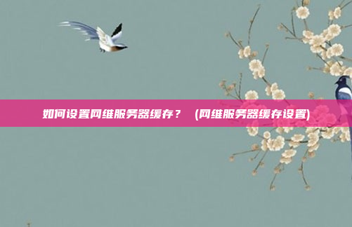 如何设置网维服务器缓存? (网维服务器缓存设置)