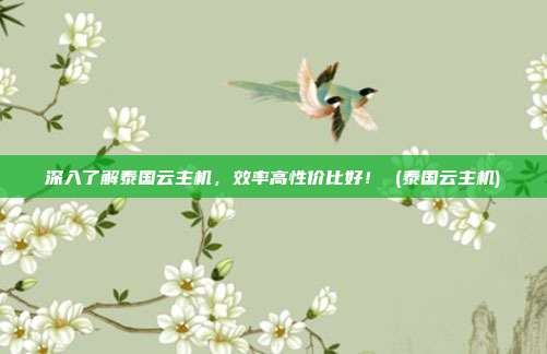 深入了解泰国云主机，效率高性价比好！ (泰国云主机)