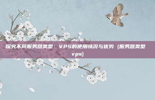 探究不同服务器类型:VPS的使用情况与优势 (服务器类型 vps)