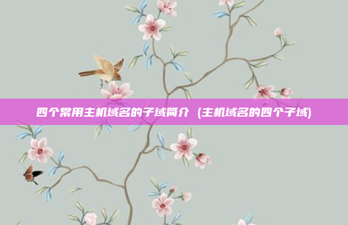 四个常用主机域名的子域简介 (主机域名的四个子域)