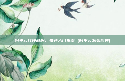阿里云代理教程:快速入门指南 (阿里云怎么代理)