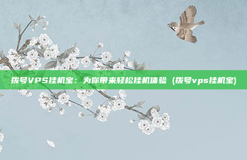 拨号VPS挂机宝:为你带来轻松挂机体验 (拨号vps挂机宝)
