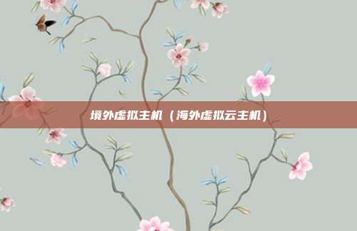 境外虚拟主机（海外虚拟云主机）