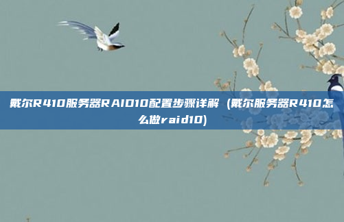 戴尔R410服务器RAID10配置步骤详解 (戴尔服务器R410怎么做raid10)