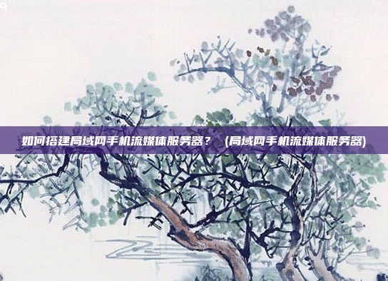 如何搭建局域网手机流媒体服务器? (局域网手机流媒体服务器)