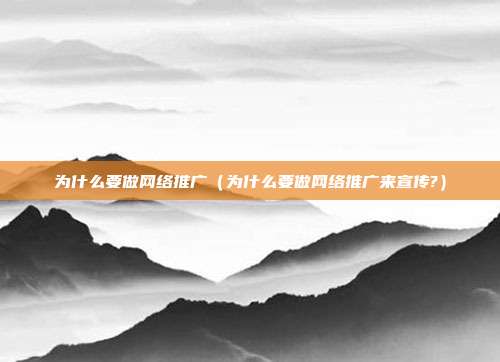 为什么要做网络推广（为什么要做网络推广来宣传?）