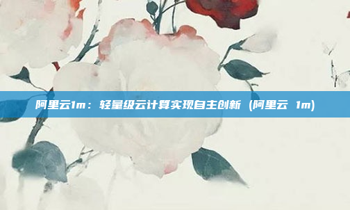 阿里云1m:轻量级云计算实现自主创新 (阿里云 1m)
