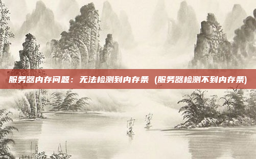 服务器内存问题:无法检测到内存条 (服务器检测不到内存条)