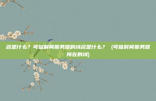 名是什么?可信时间服务器的域名是什么? (可信时间服务器所在的域)