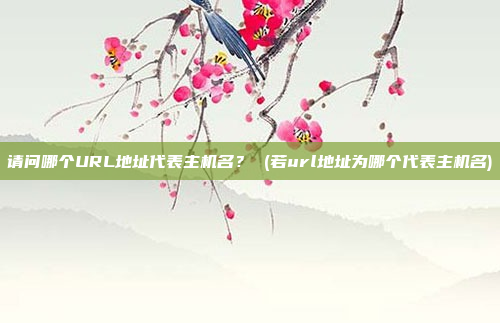 请问哪个URL地址代表主机名? (若url地址为哪个代表主机名)
