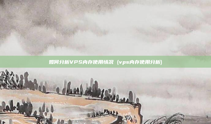 如何分析VPS内存使用情况 (vps内存使用分析)