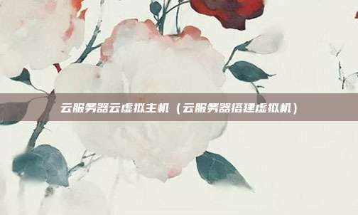 云服务器云虚拟主机(云服务器搭建虚拟机)
