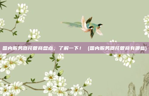 国内服务器托管商盘点,了解一下! (国内服务器托管商有哪些)