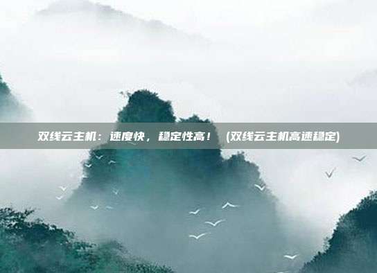 双线云主机：速度快，稳定性高！ (双线云主机高速稳定)