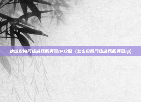 快速查询网络游戏服务器IP攻略 (怎么查看网络游戏服务器ip)