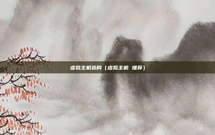 虚拟主机选购(虚拟主机 推荐)