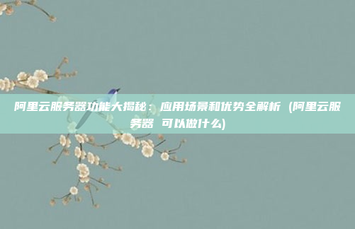 阿里云服务器功能大揭秘:应用场景和优势全解析 (阿里云服务器 可以做什么)