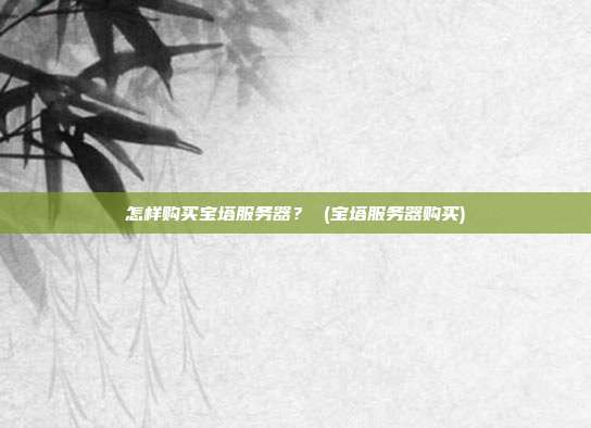 怎样购买宝塔服务器? (宝塔服务器购买)