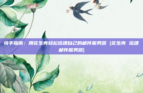 快手指南:用花生壳轻松搭建自己的邮件服务器 (花生壳 搭建邮件服务器)