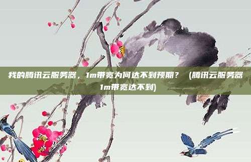 我的腾讯云服务器,1m带宽为何达不到预期? (腾讯云服务器 1m带宽达不到)