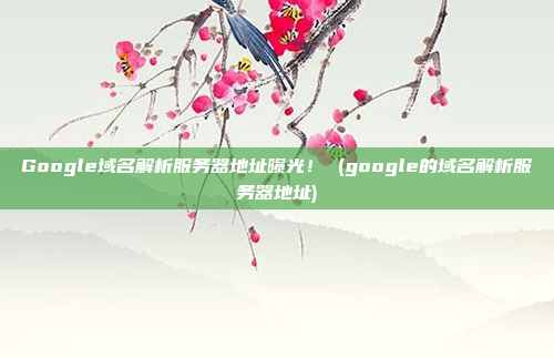 Google域名解析服务器地址曝光! (google的域名解析服务器地址)