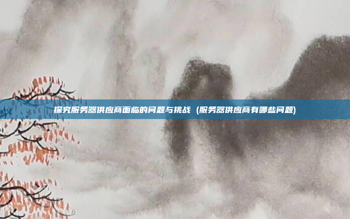 探究服务器供应商面临的问题与挑战 (服务器供应商有哪些问题)