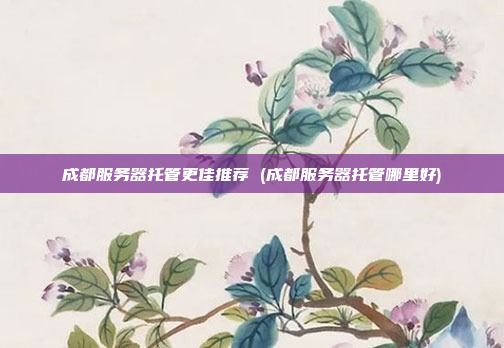 成都服务器托管更佳推荐 (成都服务器托管哪里好)