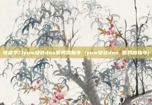 快速学习yum安装dns服务器指令 (yum安装dns 服务器指令)