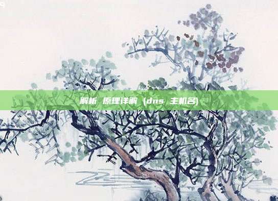 解析 原理详解 (dns 主机名)