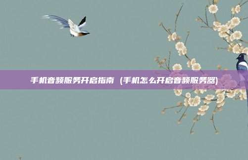 手机音频服务开启指南 (手机怎么开启音频服务器)