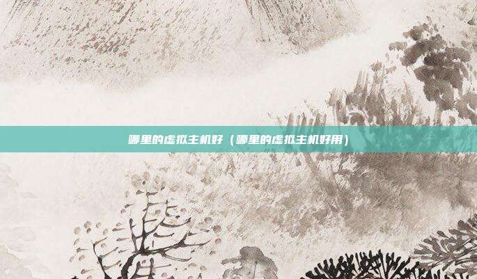 哪里的虚拟主机好（哪里的虚拟主机好用）