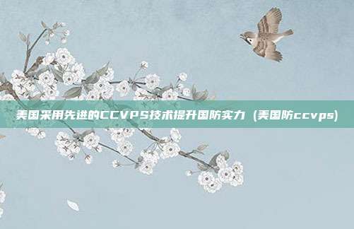 美国采用先进的CCVPS技术提升国防实力 (美国防ccvps)