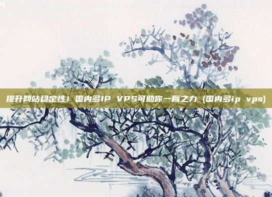 提升网站稳定性!国内多IP VPS可助你一臂之力 (国内多ip vps)