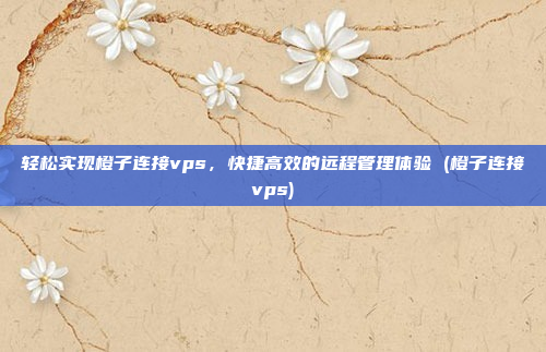 轻松实现橙子连接vps,快捷高效的远程管理体验 (橙子连接vps)