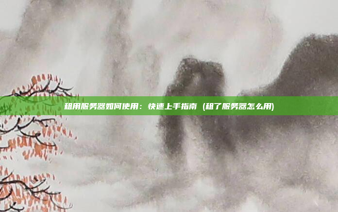 租用服务器如何使用:快速上手指南 (租了服务器怎么用)