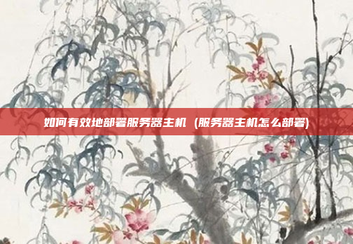 如何有效地部署服务器主机 (服务器主机怎么部署)