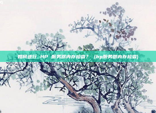如何进行 HP 服务器内存检查? (hp服务器内存检查)